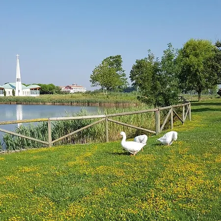 Appartement Olmi Lido Altanea