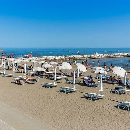 Olmi Lido Altanea *