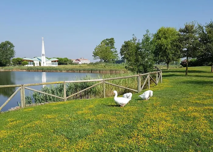 Appartement Olmi Lido Altanea